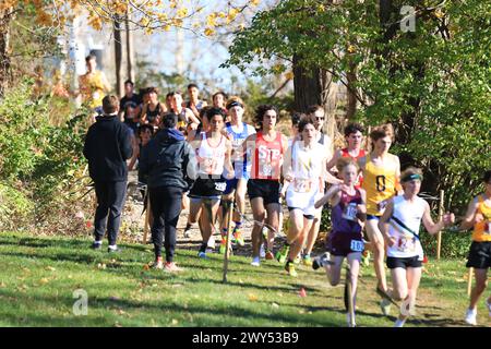 Wappingers Falls, New York, USA – 18. November 2023: Highschool-Jungs, die bergab laufen, kommen aus den Wäldern in einer 5-km-Cross-Country-Meisterschaft. Stockfoto