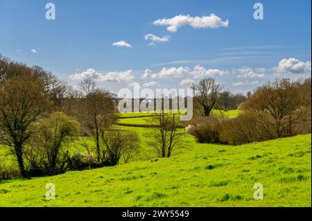 Blick über sanfte Hügel mit hellgrünem Gras, Wälder und Ouse Valley Viaduct im frühen Frühjahr in der Nähe von Haywards Heath, West Sussex, England. Stockfoto