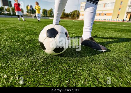 Eine einsame Figur steht triumphierend auf dem höchsten Punkt eines Fußballfeldes und überblickt die Weite darunter und strahlt ein Gefühl von Leistung und vic aus Stockfoto