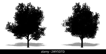 Set oder Sammlung von Zitronenbäumen als schwarze Silhouette auf weißem Hintergrund. Konzept- oder konzeptionelle 3D-Illustration für Natur, Planeten, Ökologie und Nachteile Stockfoto