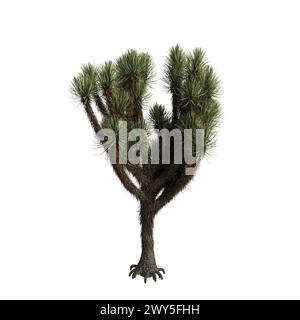 3D-Illustration von Yucca brevifolia Baum isoliert auf weißem Hintergrund Stockfoto