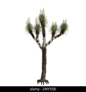 3D-Illustration von Yucca brevifolia Baum isoliert auf weißem Hintergrund Stockfoto