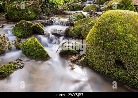 Bergbach fließt durch moosige Felsen, Bild in den Apuseni Bergen Stockfoto