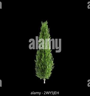 3D-Illustration des Carpinus betulus-Baumes isoliert auf schwarzem Hintergrund Stockfoto