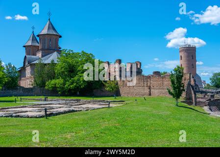 Die große Königliche Kirche in der rumänischen Stadt Targoviste Stockfoto