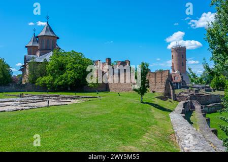 Die große Königliche Kirche in der rumänischen Stadt Targoviste Stockfoto