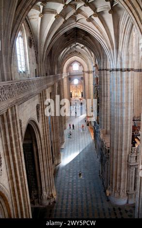 Gang der neuen Kathedrale, aus der Vogelperspektive. Salamanca, Spanien. Stockfoto