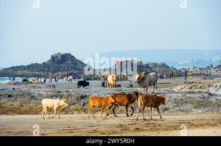 Indien, Goa, Anjuna, Abendstimmung am Ozran Beach (Little Vagator Beach), Stockfoto