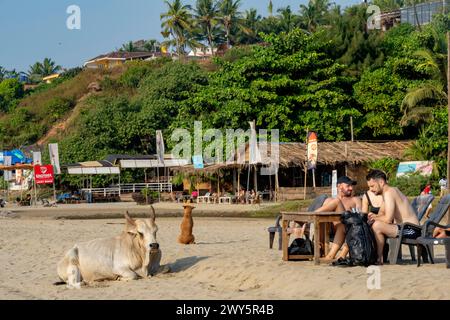 Indien, Goa, Anjuna, Ozran Beach (Little Vagator Beach), Stockfoto