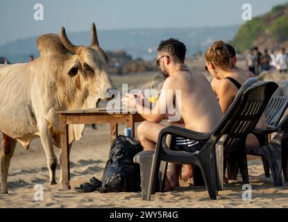 Indien, Goa, Anjuna, Ozran Beach (Little Vagator Beach), Stockfoto