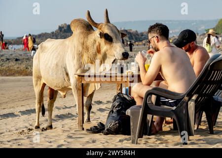 Indien, Goa, Anjuna, Ozran Beach (Little Vagator Beach), Stockfoto