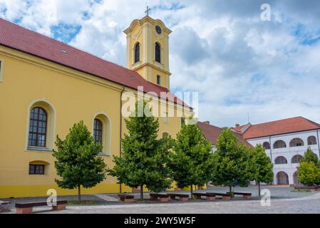 Hof der Festung Oradea in Rumänien Stockfoto