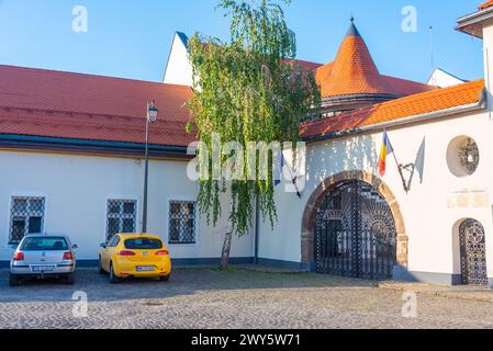 County Museum of History and Archeology Maramures in Baia Mare, Rumänien Stockfoto