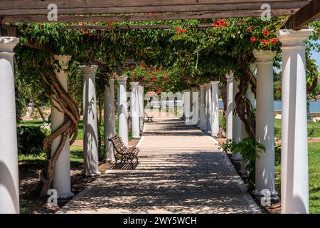 Der Rosengarten Im Parque General San Martin, Mendoza, Provinz Mendoza, Argentinien. Stockfoto