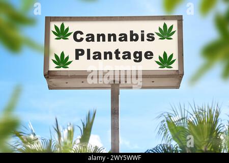 4. April 2024: Schild mit Inschrift: Cannabisplantage umgeben von grünen Pflanzen. FOTOMONTAGE *** Schild mit Aufschrift: Cannabis Plantage, umgeben von grünen Pflanzen. FOTOMONTAGE Stockfoto