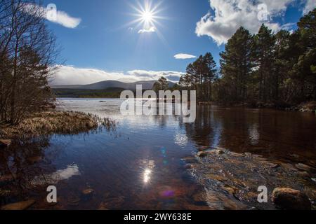 Loch Morlich von der Rothiemurchus Lodge Zugangsbrücke, Glenmore, Highlands, Schottland, Frühlingsmorgen mit Sonne im Schuss, Sonne und Wald reflektieren Stockfoto