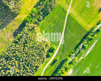 Aus der Vogelperspektive auf eine lebhafte grüne Landschaft, die durch eine Straße geteilt wird, mit Kontrast zu natürlicher Vegetation und bewirtschaftetem Land. Stockfoto