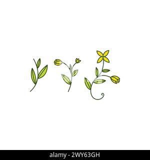 Logo Für Blumenwachstum, Symbolsatz. Blattlogo Stock Vektor