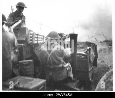 DIE NEUE OFFENSIVE AN DER WESTFRONT – Bofors-Geschütze des 390 Battery 199 L.A.A.A.Regiments, R.A., legt eine „Pfefferbox“-Sperrfeuer für die heranrückende Infanterie. Beachten Sie den Stapel leerer Hüllen, die auf die Intensität des Stauraums hinweisen. Britische Armee, 21. Armeegruppe Stockfoto