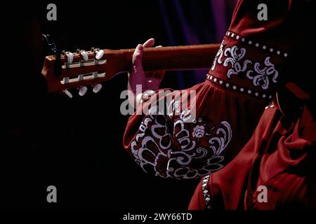 Bild einer Frauenhand auf dem Griffbrett einer Akustikgitarre Stockfoto