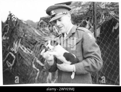 TILLY IST HEUTE das MASKOTTCHEN DES HAUPTQUARTIERS der ARMEE - Major Lord Ashley, General Dempseys Militärassistent mit Tilly, einem Welpen, der gefunden wurde, als Tilly sur Seulles gefangen genommen wurde. Britische Armee, 21. Armeegruppe Stockfoto