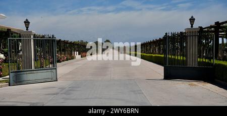 Der Eingang zu einem Weingut mit Reben auf beiden Seiten und Bergen in der Ferne. Stockfoto