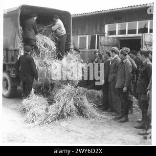 BRITISCHES MILITÄRREGIERUNGSZENTRUM FÜR BEFREITE P.O.WS. - Allied P.O.WS hat dabei zugesehen, wie deutsche "Zivvies" Stroh für die Einstreu der P.O.WS entladen. Britische Armee, 21. Armeegruppe Stockfoto