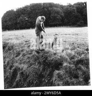 ENGLISCH-DÄNISCHES GOLFTURNIER - Lieutenant Bullock spielt einen Annäherungsschuss zum 14. Loch. , Britische Rheinarmee Stockfoto