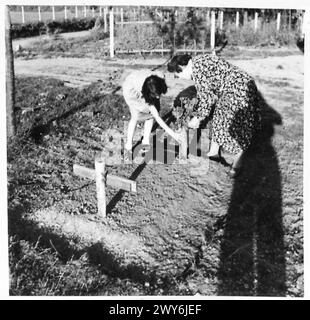 Madame Meybon und ihre Tochter Camille unterhalten Gräber von vier britischen Panzern, die in der Nähe ihres Hauses in Tourville begraben wurden, und halten sie ordentlich und mit frischen Blumen geschmückt, britische Armee, 21. Armeegruppe. Stockfoto