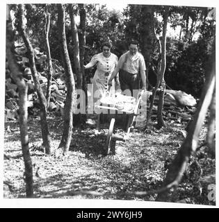 DIE FRANZÖSISCHE FAMILIE GRÄBT IHRE WERTSACHEN aus, NACHDEM SIE IN IHR ZUHAUSE ZURÜCKKEHRT - sie bringen sie mit einer Schubkarre aus dem Wald zu ihrem Haus. Britische Armee, 21. Armeegruppe Stockfoto