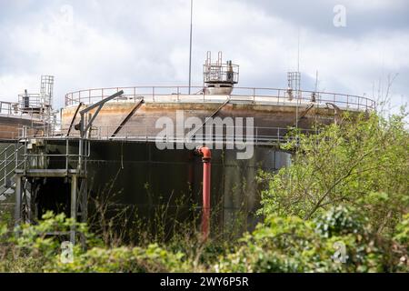 Rickmansworth, Großbritannien. April 2024. Die Wasseraufbereitungsarbeiten an der Maple Lodge in Rickmansworth leiten seit über 55 Stunden wieder Abwasser in den River Colne, einen Nebenfluss der Themse. Das Wasser in der Nähe der Kläranlage ist aufgrund der Abwassereinleitungen grau geworden. Riesige Mengen Abwasser aus dem nahe gelegenen HS2 High Speed Rail South Portal Site in West Hyde werden in den Abwasseraufbereitungswerken von Maple Lodge aufbereitet. Quelle: Maureen McLean/Alamy Live News Stockfoto