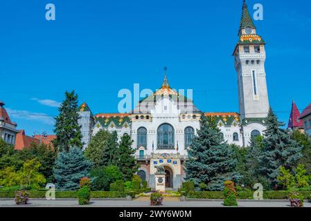Rathaus in der rumänischen Stadt Targu Mures Stockfoto