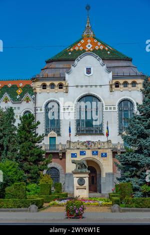Rathaus in der rumänischen Stadt Targu Mures Stockfoto