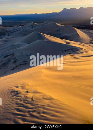 Atemberaubende Kelso Dunes im Mojave National Preserve, Kalifornien, USA Stockfoto