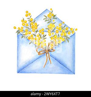 Blumen. Mimosa auf isoliertem Weißen. Aquarellzeichnung. botanisches Gemälde, schöne Frühlingsflora, gelbe Blumen Stockfoto