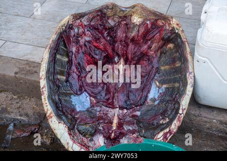 Foto von illegalem Schildkrötenfleisch zum Verkauf am Straßenrand in lateinamerika. Stockfoto