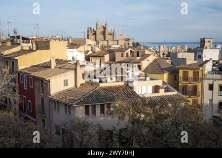 Dächer von antiken Gebäuden und die Kathedrale von Palma im Hintergrund, Mallorca Stockfoto