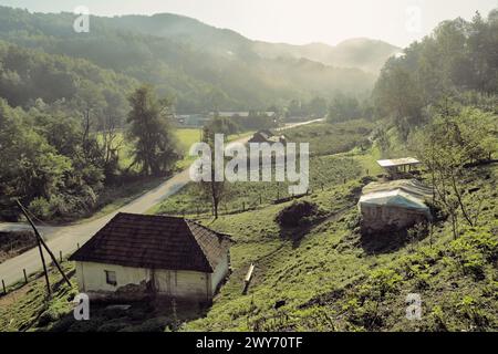 Eine ländliche Gasse durch eine Landschaft im Morgennebel zwischen den Bergen Serbiens Stockfoto
