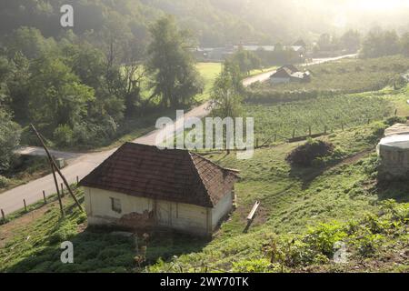 Ländliche Landschaft im Morgennebel zwischen den Bergen Serbiens Stockfoto
