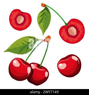 Set von saftigen und gesunden roten Kirschen und Scheiben isoliert auf weißem Hintergrund. Vektor geschnittene Beeren Illustration in flacher Art. Sommerclipart für Desi Stock Vektor