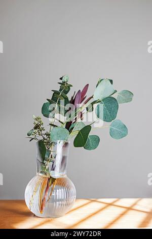 Eukalyptuszweige in einer Glasvase, minimales Wohndekor in natürlichem Licht Stockfoto
