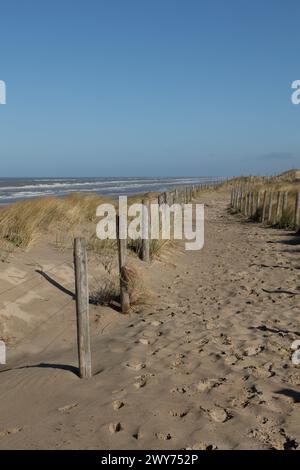 Ein Zaun mit Holzpfählen in einer Dünenlandschaft mit der Küste der niederländischen Nordsee im Hintergrund in der Nähe von Egmond aan Zee Stockfoto