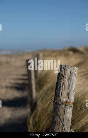 Ein Holzhaufen als Teil eines Zauns in einer Dünenlandschaft im verschwommenen Hintergrund Stockfoto