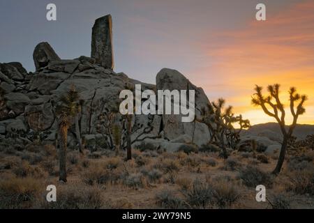 Sonnenuntergang über dem Headstone Rock im kalifornischen Joshua Tree National Park. Stockfoto