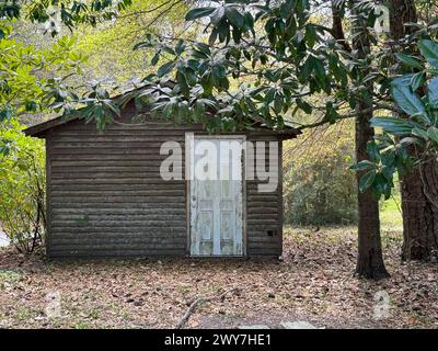 Eine alte Hütte, eingebettet zwischen Bäumen und gefallenen Blättern in einem Wald Stockfoto