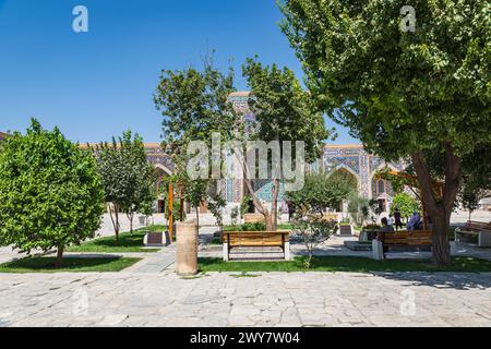 Samarkand, Samarqand, Usbekistan, Zentralasien. August 2021. Bäume in einem Innenhof in der Registan in Samarkand. Stockfoto