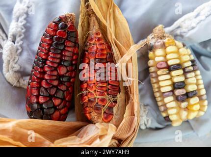 San Pablo Huitzo, Oaxaca, Mexiko - Landwirte sind Teil einer Genossenschaft, die agroökologische Prinzipien verwendet. Sie vermeiden Pestizide und andere Chemikalien, A Stockfoto