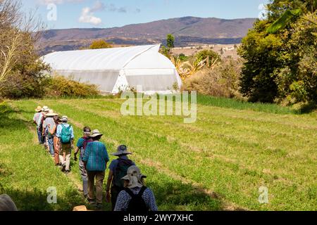 San Pablo Huitzo, Oaxaca, Mexiko - Landwirte sind Teil einer Genossenschaft, die agroökologische Prinzipien verwendet. Sie vermeiden Pestizide und andere Chemikalien, A Stockfoto