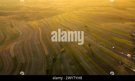 Luftbild von einer fliegenden Drohne über gelben Feldern des Dorfes Suloszowa im Kreis Krakau bei Sonnenuntergang, Polen Stockfoto