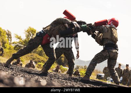 Die US-Marines kämpfen sich in Einzelkämpfen gegen die 1st Marine Division Squad Competition im Marine Corps Base Camp Pendleton, Kalifornien, am 28. März 2024. Der einwöchige Truppenwettbewerb umfasst eine Vielzahl von kampfbezogenen Aufgaben, um die Fähigkeiten jedes Trupps zu bewerten. (Foto des U.S. Marine Corps von Sgt. Ezekieljay Correa) Stockfoto